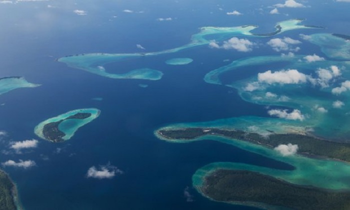 `Bright spots` offer fresh hope for survival of coral reefs